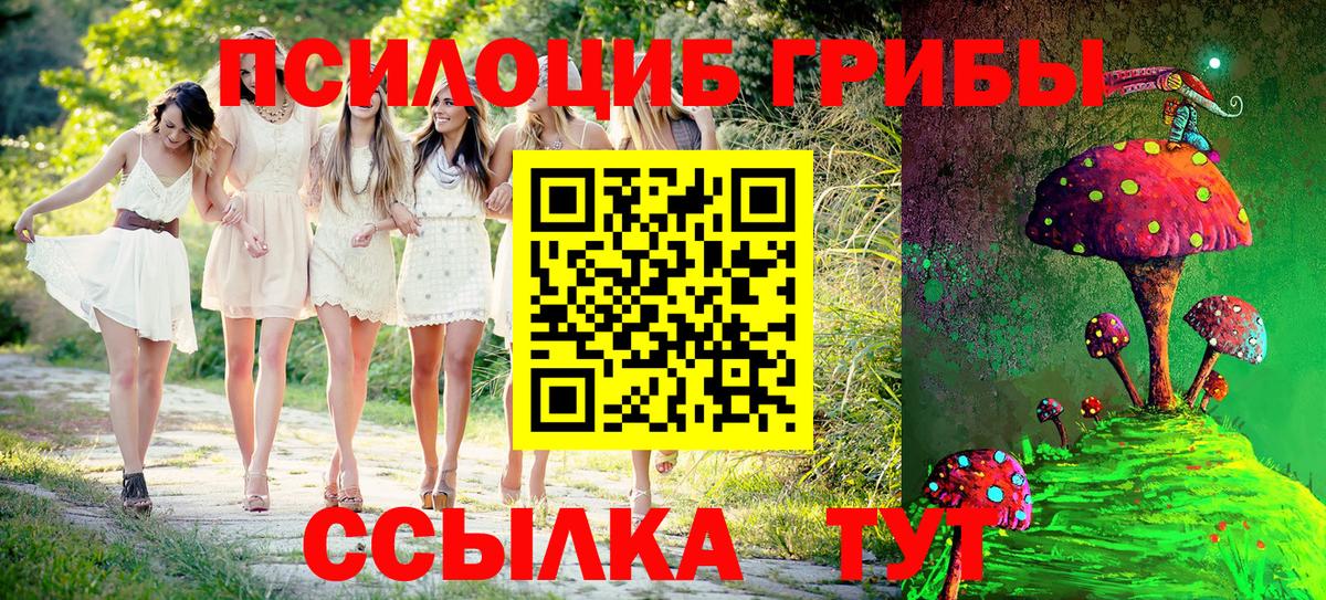 как найти наркотики  Галлюциногенные грибы GOLDEN TEACHER  Вход с VPN  Алатырь 