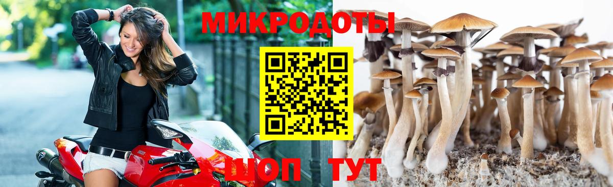 Галлюциногенные грибы ЛСД Алатырь